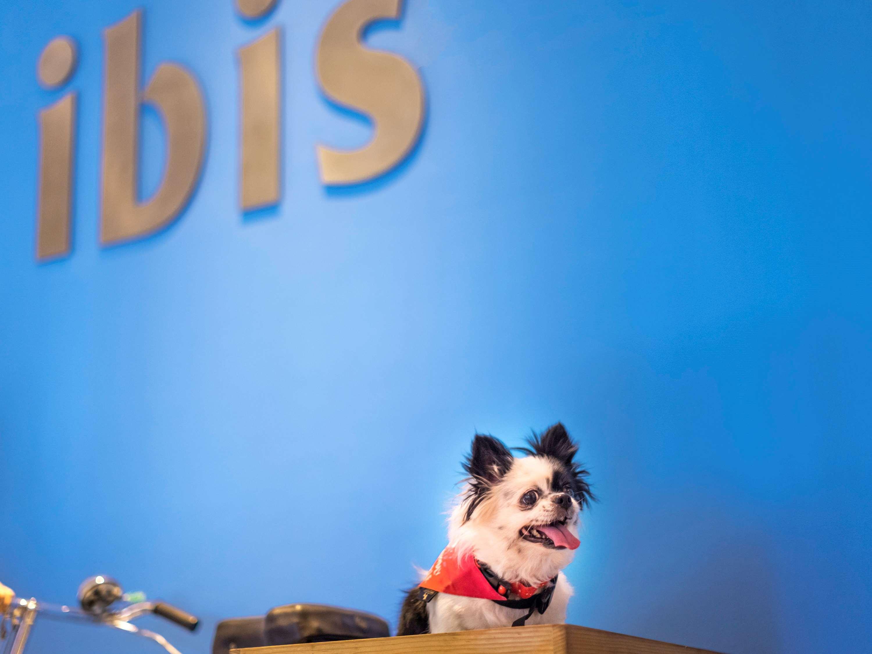 Отель Ibis Chennai Omr - An Accor Brand Экстерьер фото